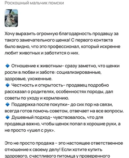 e288ee1f-37f4-4053-af71-7d8c5c424337-_3qhl7ngzc.jpeg