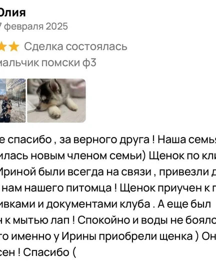 5a807565-8e65-4df4-93a9-74e37cf8ce38-_l67sghyx7.jpeg