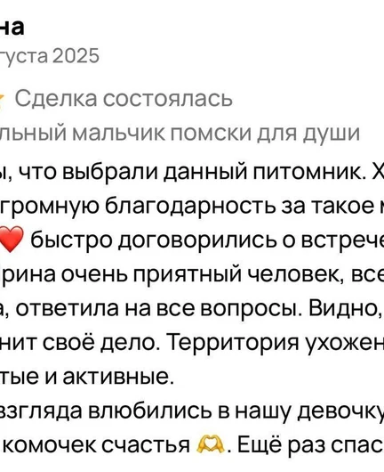 5baef6fa-ab35-4af2-be03-2a739dd684f8-_btahqhdvo.jpeg
