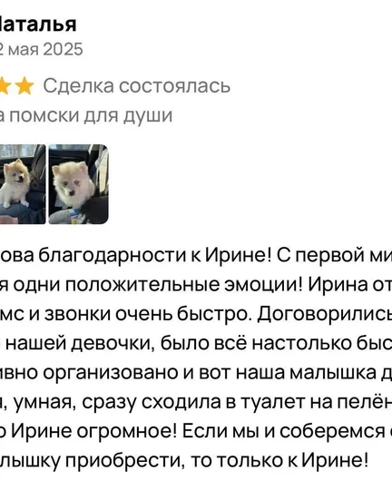 0f9dac79-b329-4296-a8e5-c594d69ae190-_431xx9goe.jpeg