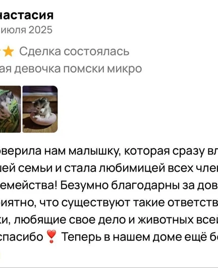 f5305b74-6ae5-4e24-83b0-54b8600bd301-_zz4v1bioy.jpeg