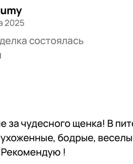 5cfed49b-ca25-411a-851b-4b489d3db6a0-_zb9voqskm.jpeg